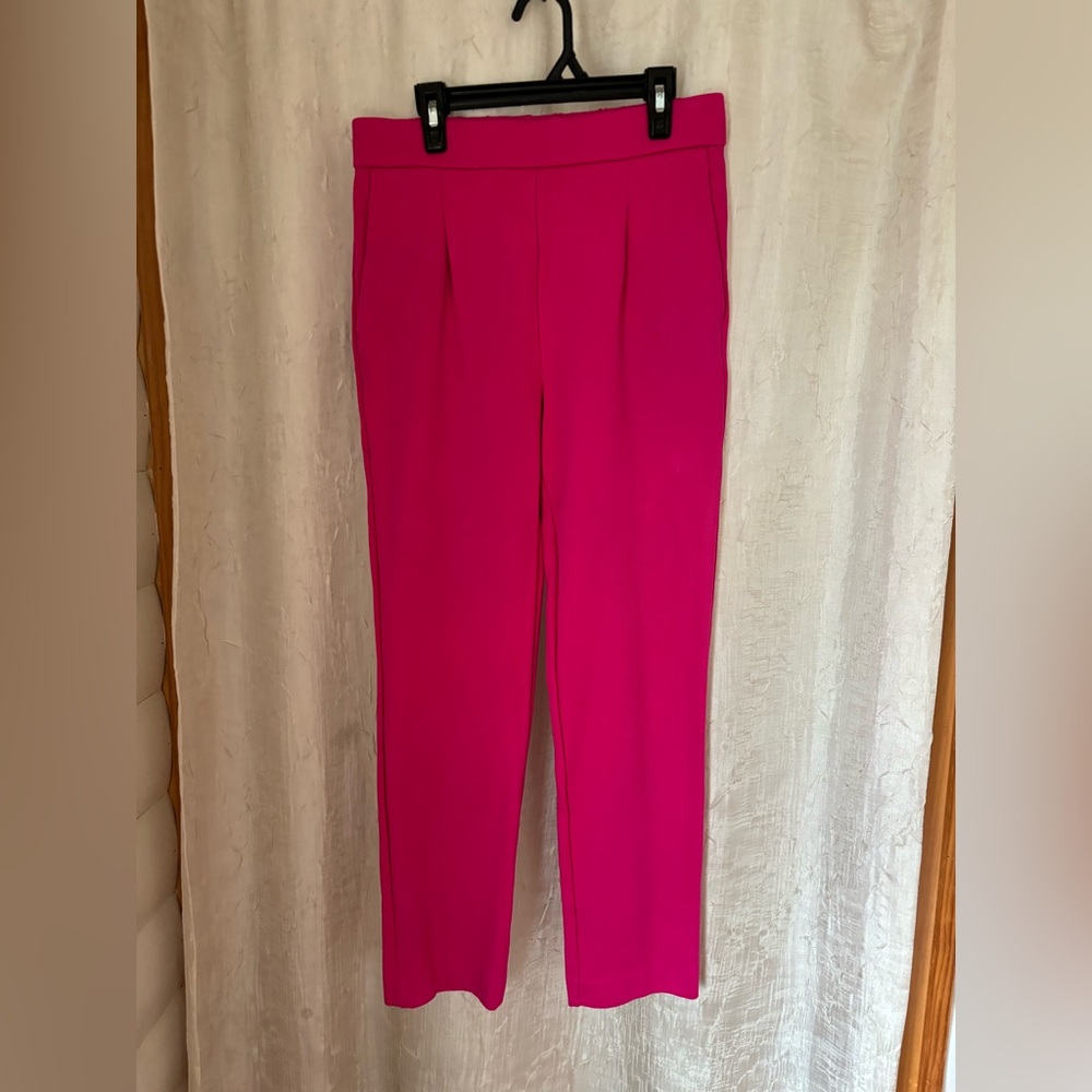 Ann Taylor Pink Pleaded Dress Pant